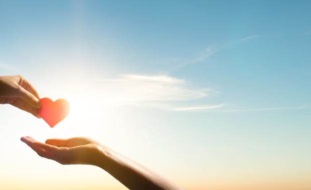 إم إتش جي تنظم حملة للتبرع بالدم لتعزيز المسؤولية الاجتماعية وأثرها المجتمعي